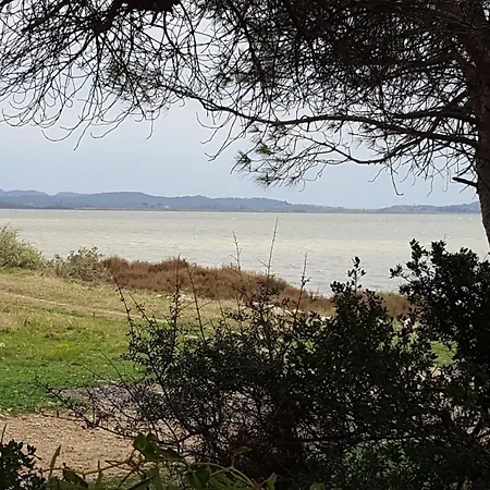Dans Ancienne Bergerie En Pleine Garrigue
