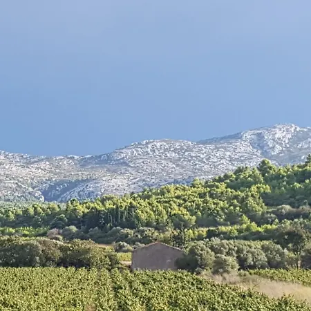 Apartamento Dans Ancienne Bergerie En Pleine Garrigue Fraissé-des-Corbières