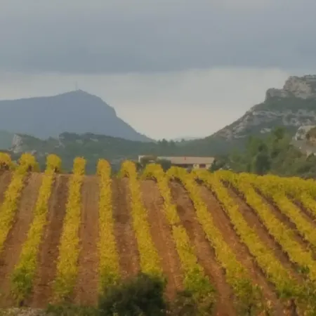 Dans Ancienne Bergerie En Pleine Garrigue Apartamento *