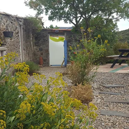 Dans Ancienne Bergerie En Pleine Garrigue Fraissé-des-Corbières