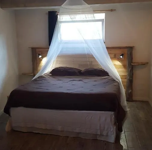Dans Ancienne Bergerie En Pleine Garrigue Appartement Fraissé-des-Corbières