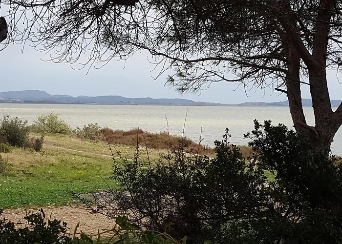 Dans Ancienne Bergerie En Pleine Garrigue