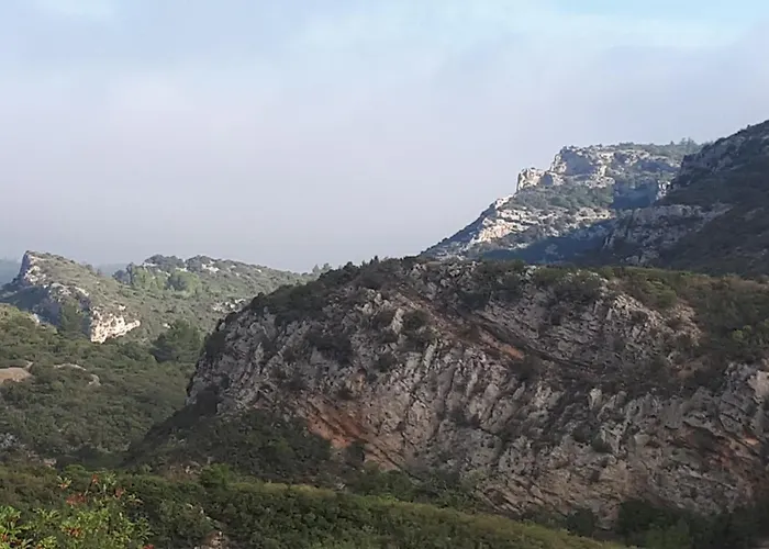 Dans Ancienne Bergerie En Pleine Garrigue * Fraissé-des-Corbières