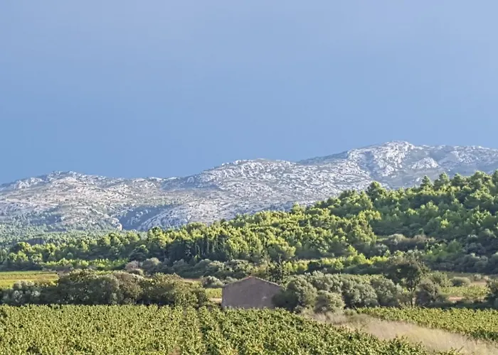 Appartement Dans Ancienne Bergerie En Pleine Garrigue Fraissé-des-Corbières