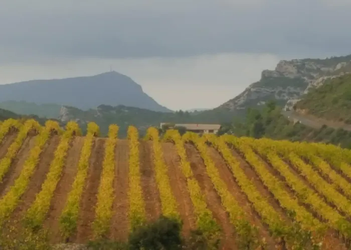 Dans Ancienne Bergerie En Pleine Garrigue Appartement *